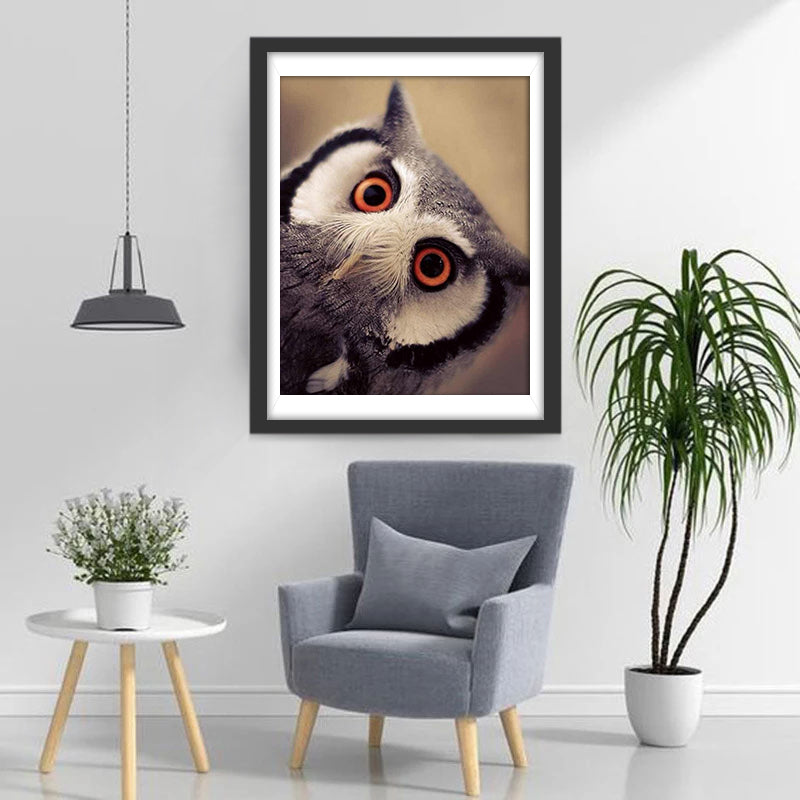 Een Uil met Oranje en Zwarte Ogen Diamond Painting