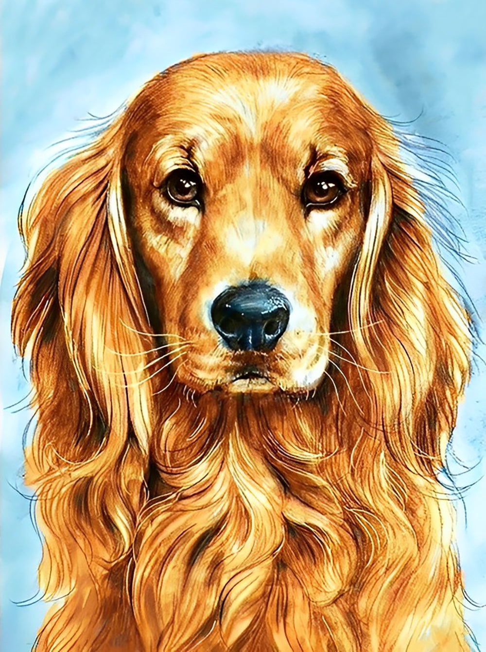 Een Vriendelijke Golden Retriever Diamond Painting