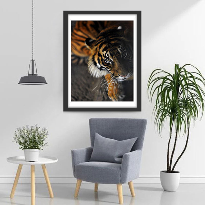 Een Waakzame Tijger Diamond Painting