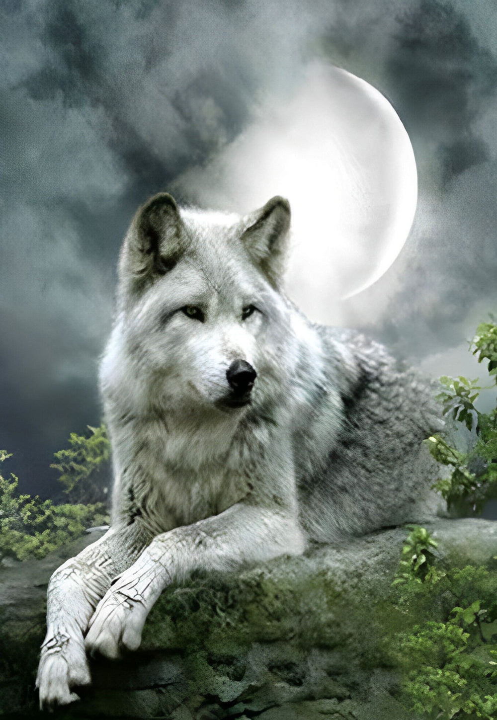 Een Weemoedige Wolf Diamond Painting
