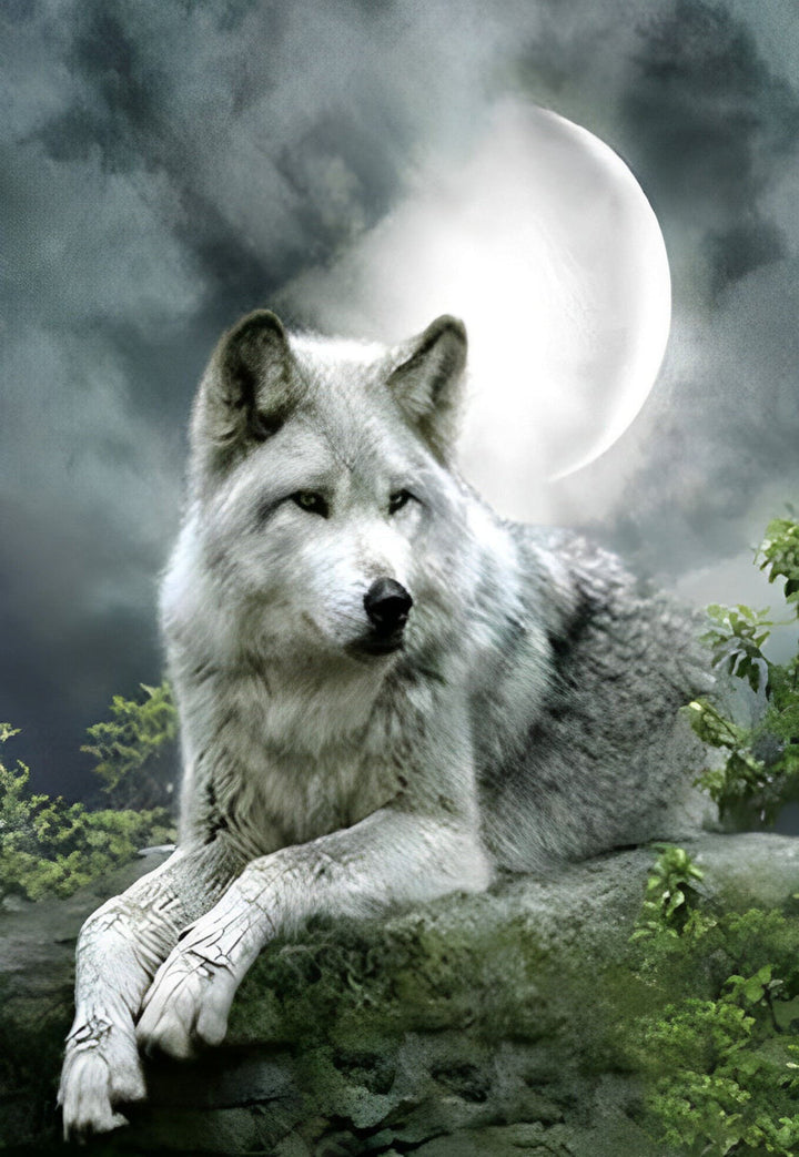 Een Weemoedige Wolf Diamond Painting