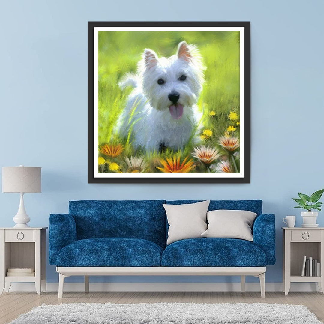 Een Westelijke Hooglander in Een Weiland vol Madeliefjes Diamond Painting
