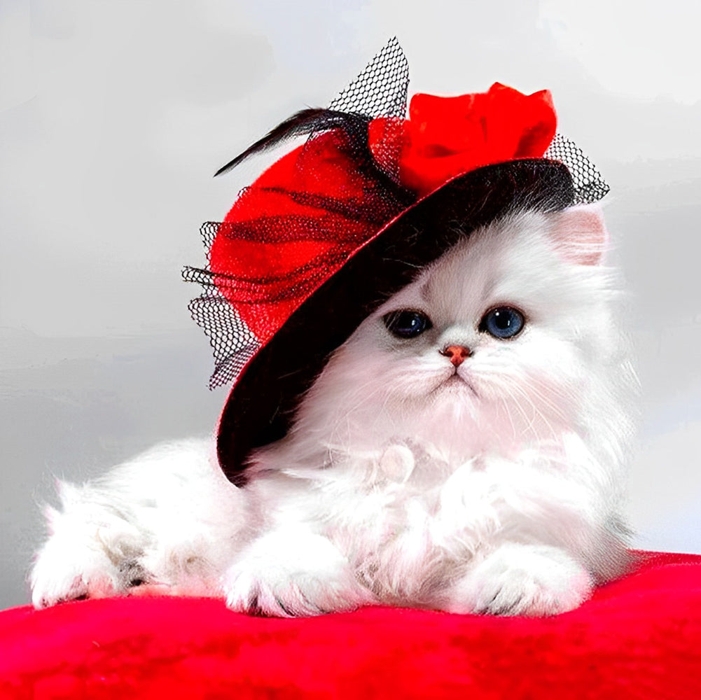 Een Witte Kat met een Rode Hoed op een Rode Loper Diamond Painting