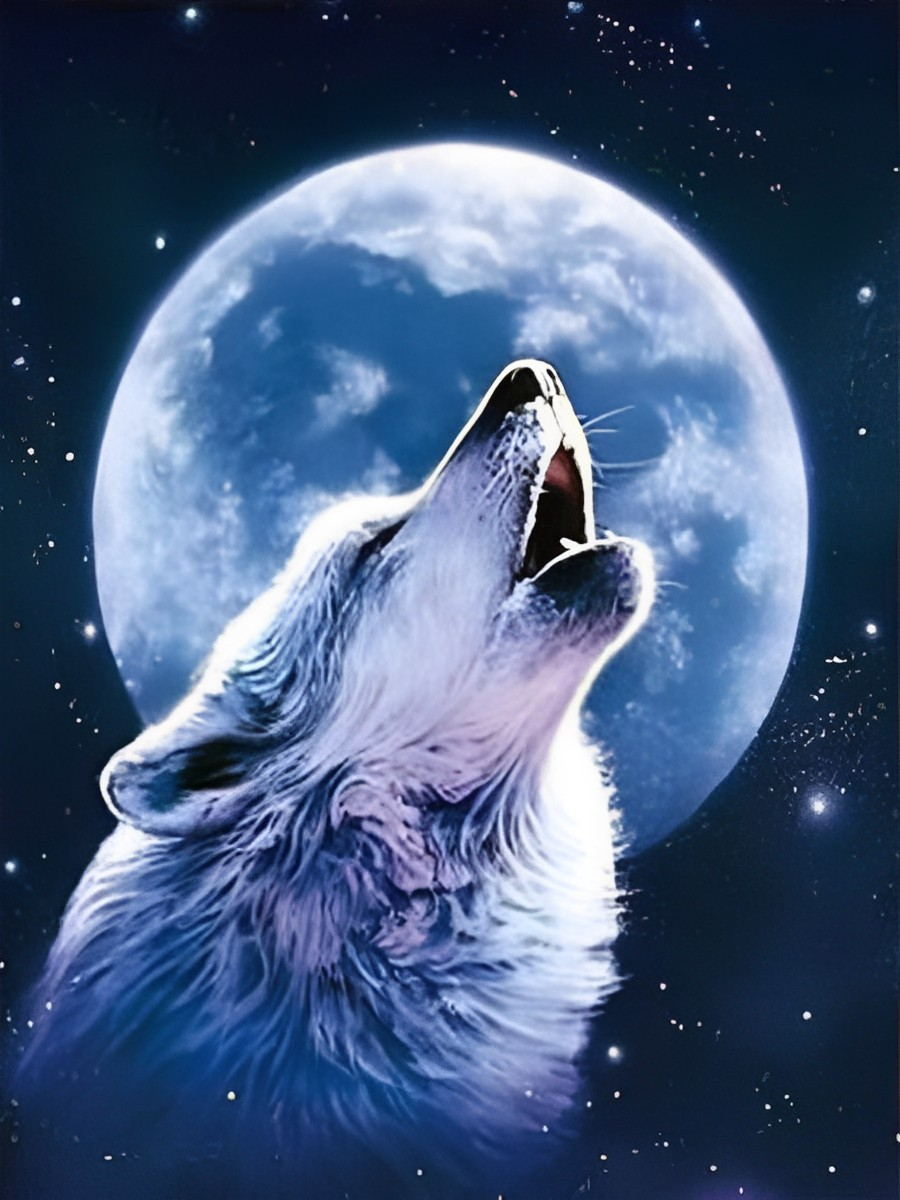 Een Wolf Huilt tegen de Enorme volle Maan in de Sterrennacht Diamond Painting