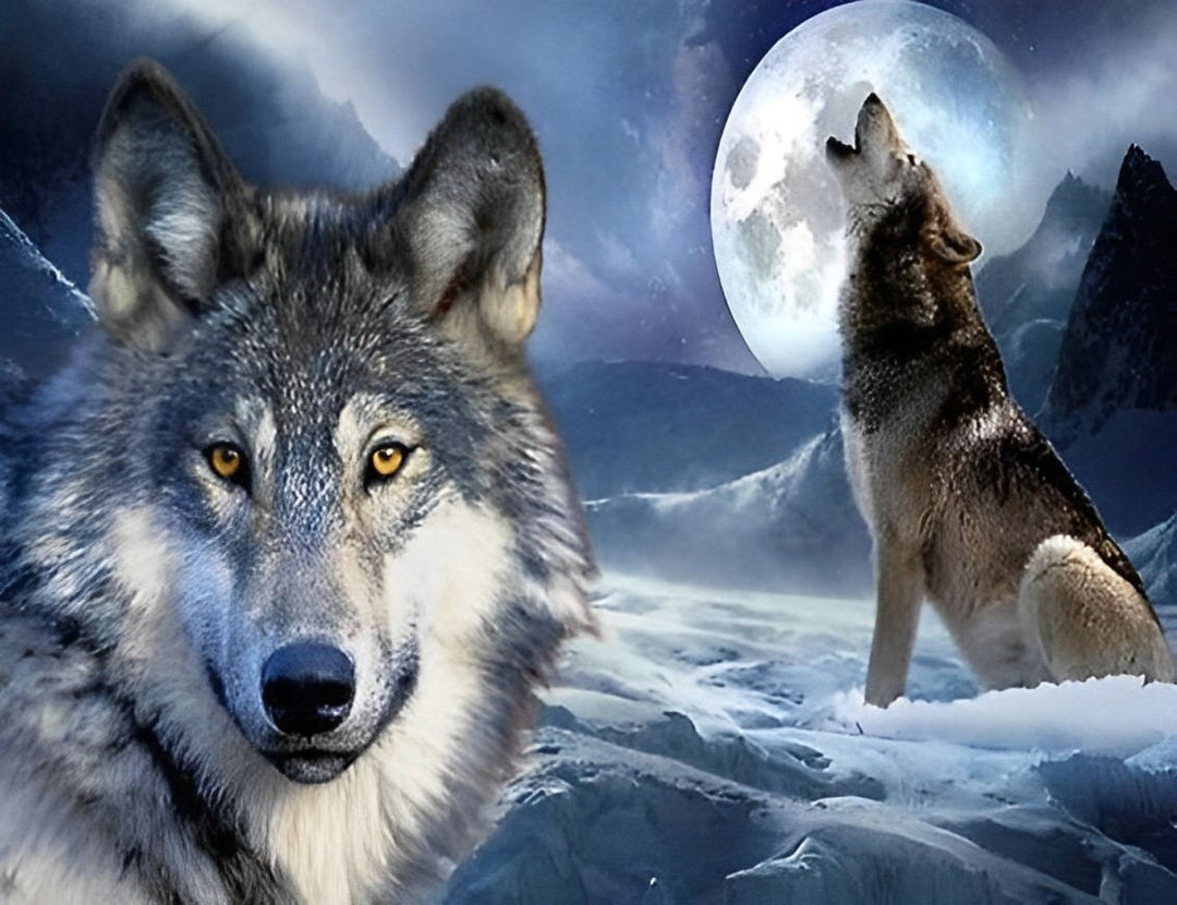 Een Wolf Kijkt in de Camera, een Wolf Huilt Diamond Painting