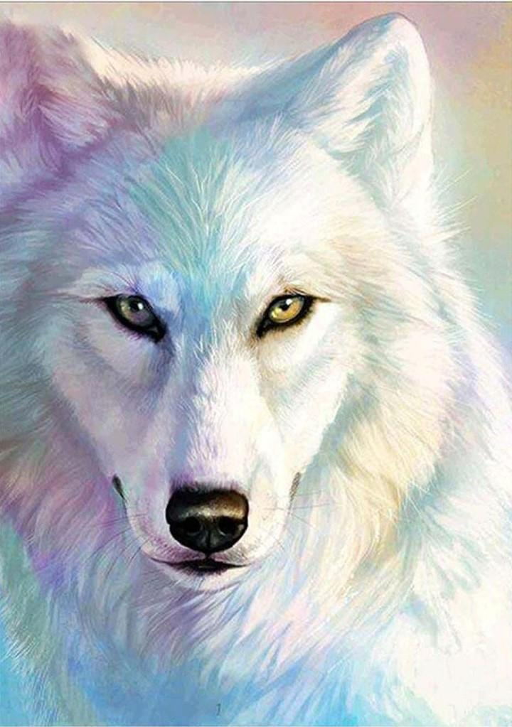 Een Wolf met Gekleurde Vacht Diamond Painting