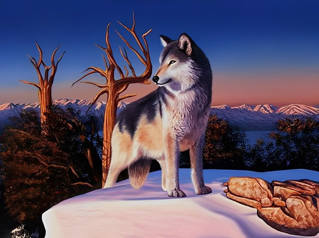 Een Wolf op een Besneeuwde Bergrots Diamond Painting