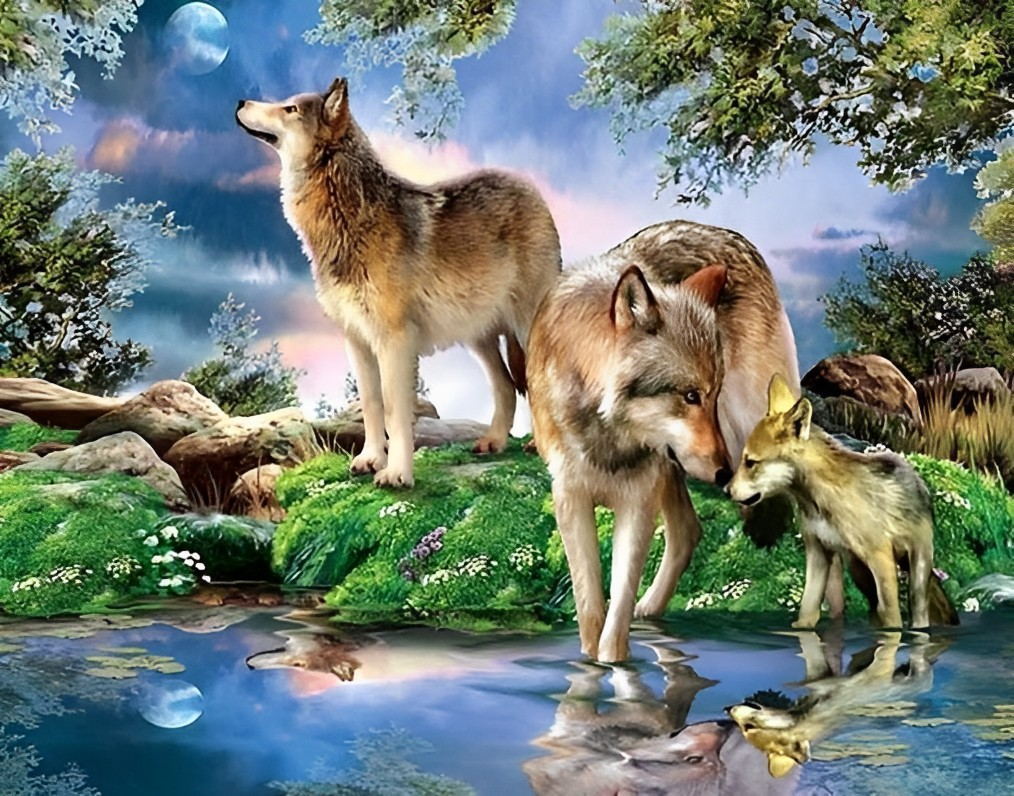 Een Wolvenfamilie bij de Beek Diamond Painting