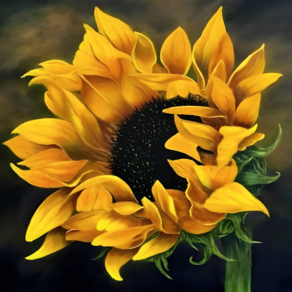 Een Zonnebloem met een Zwarte Kern Diamond Painting