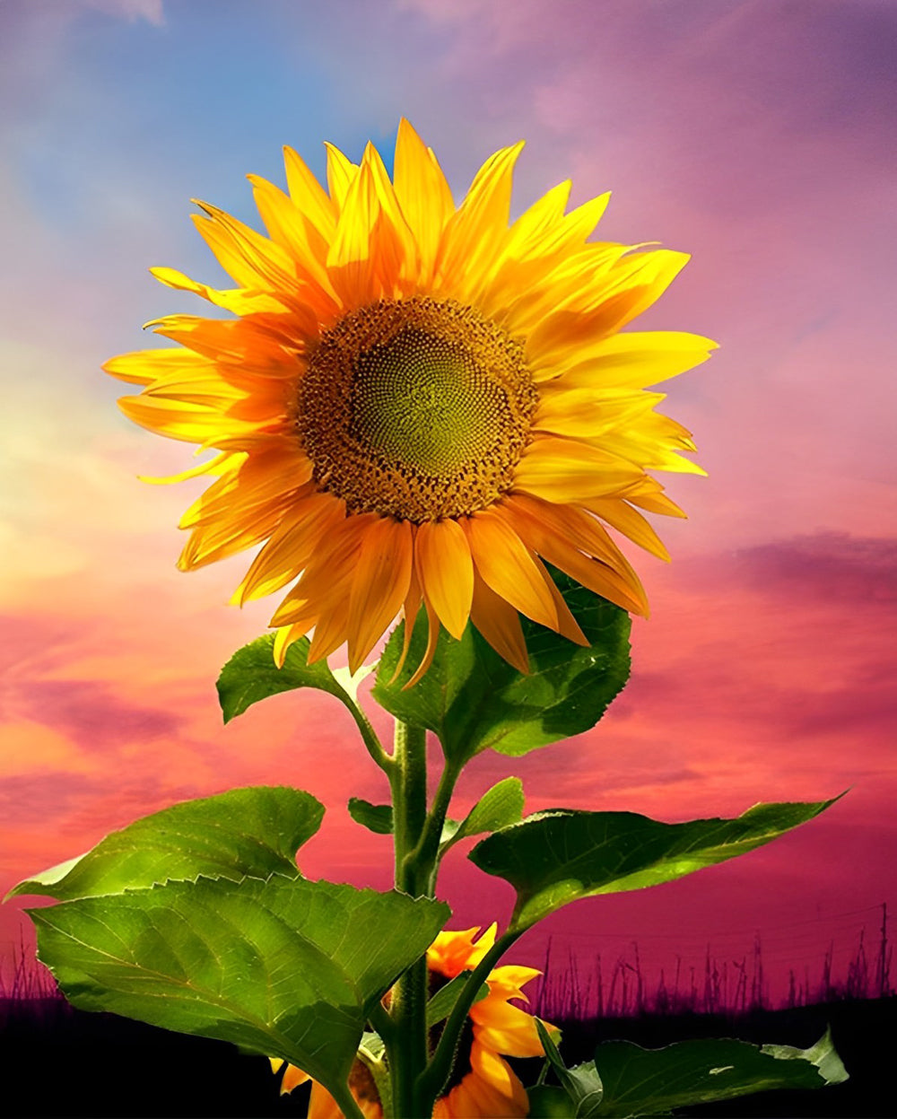Een Zonnebloem onder een Blauw-Roze Hemel Diamond Painting