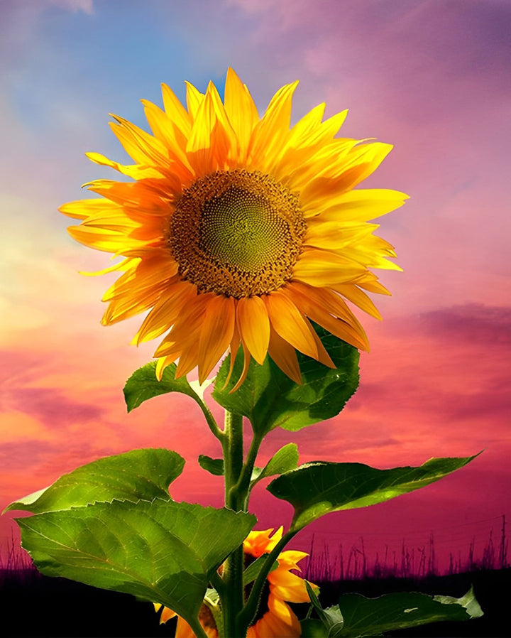 Een Zonnebloem onder een Blauw-Roze Hemel Diamond Painting