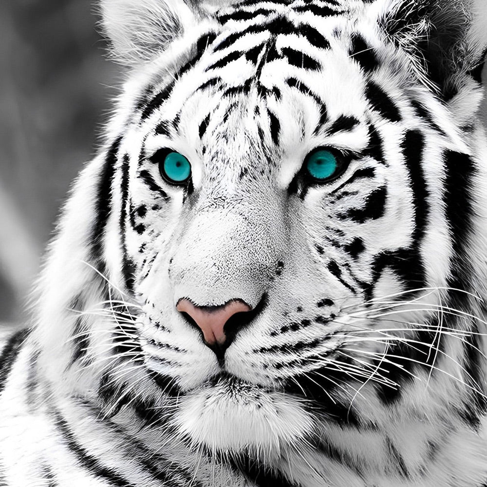 Een Zwart-Witte Tijger met Groene Ogen Diamond Painting