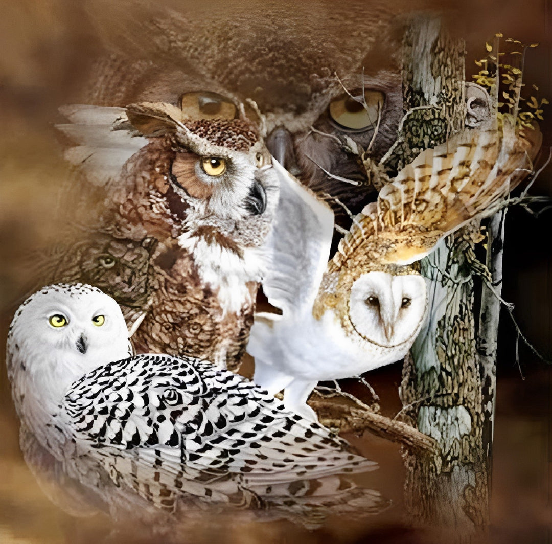 Een Zwerm Uilen Diamond Painting