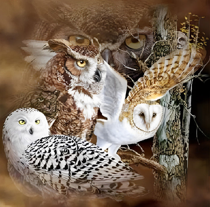 Een Zwerm Uilen Diamond Painting