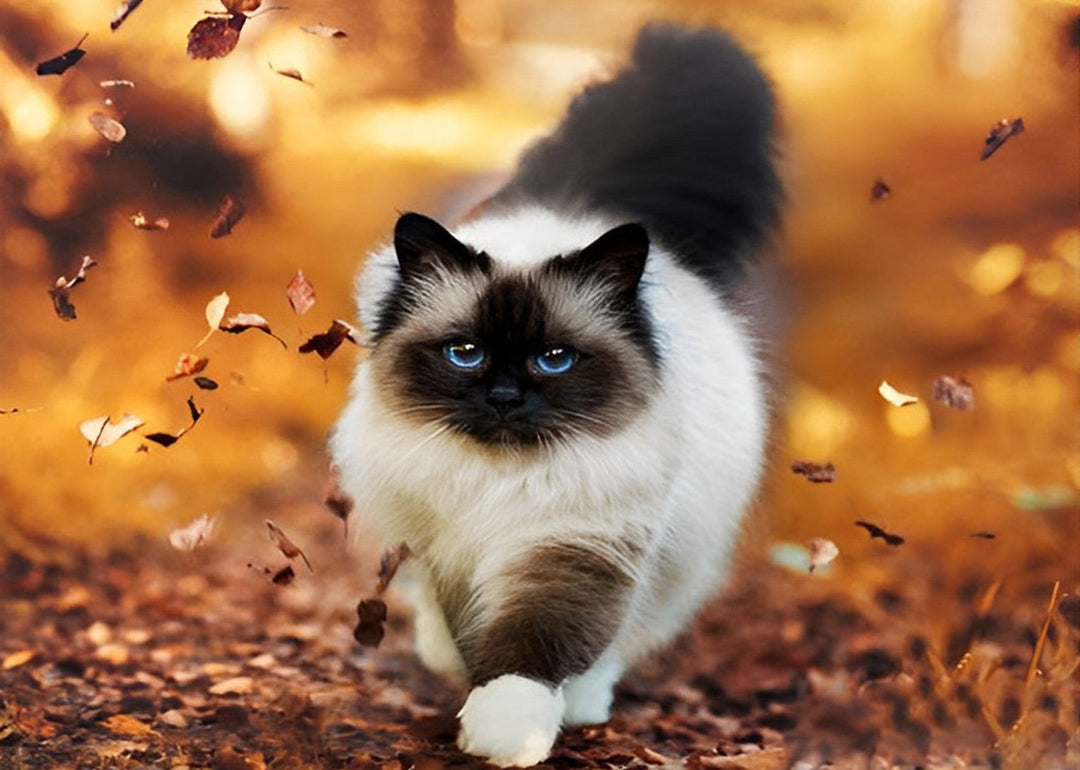 Elegante Kat tussen Herfstbladeren Diamond Painting