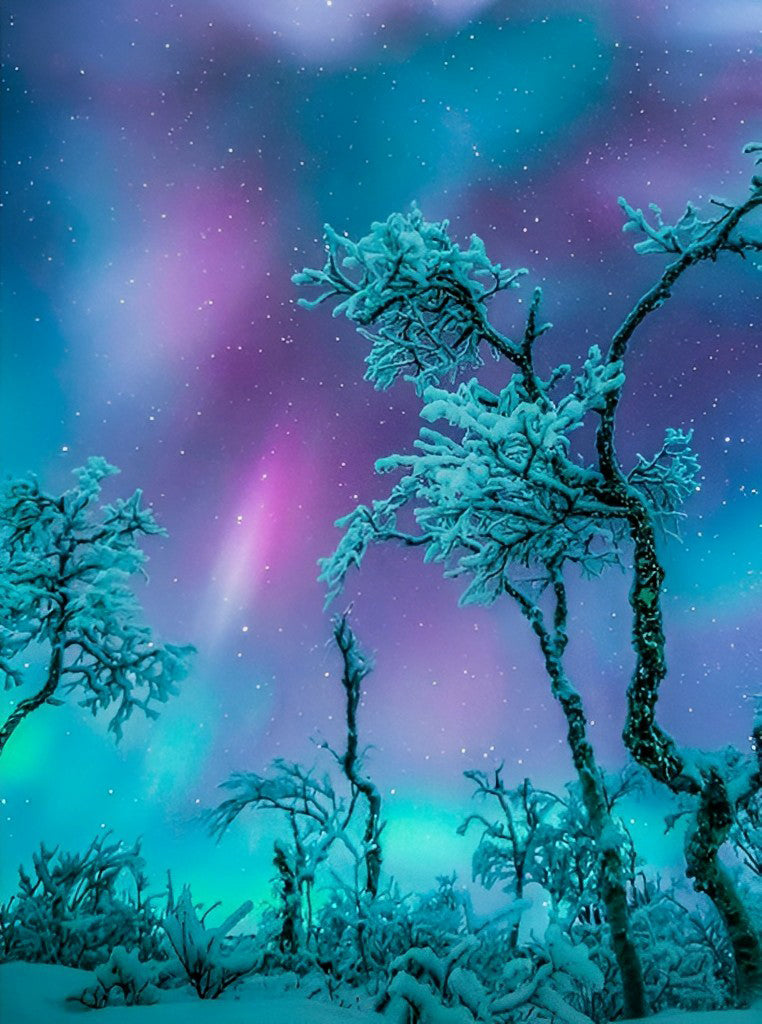 Fascinerend Poollichtglans over de Besneeuwde Takken Diamond Painting