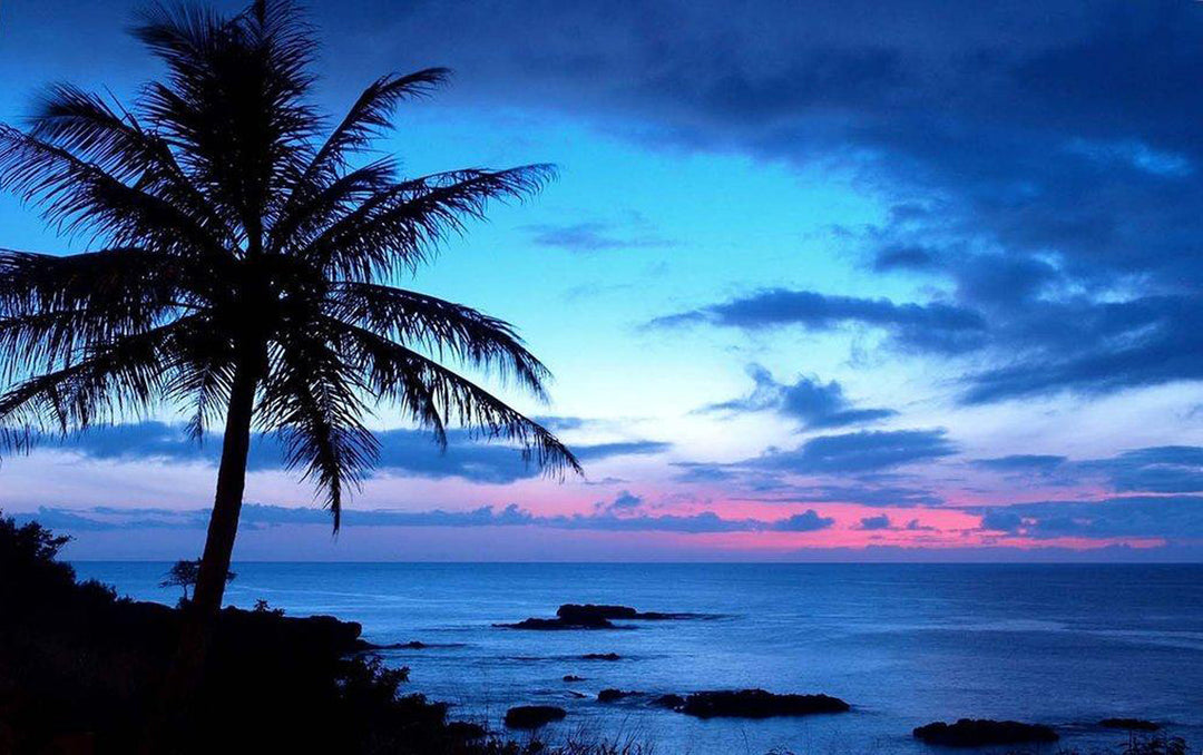 Fascinerende Palmboom Silhouet met Zee en Lucht Diamond Painting