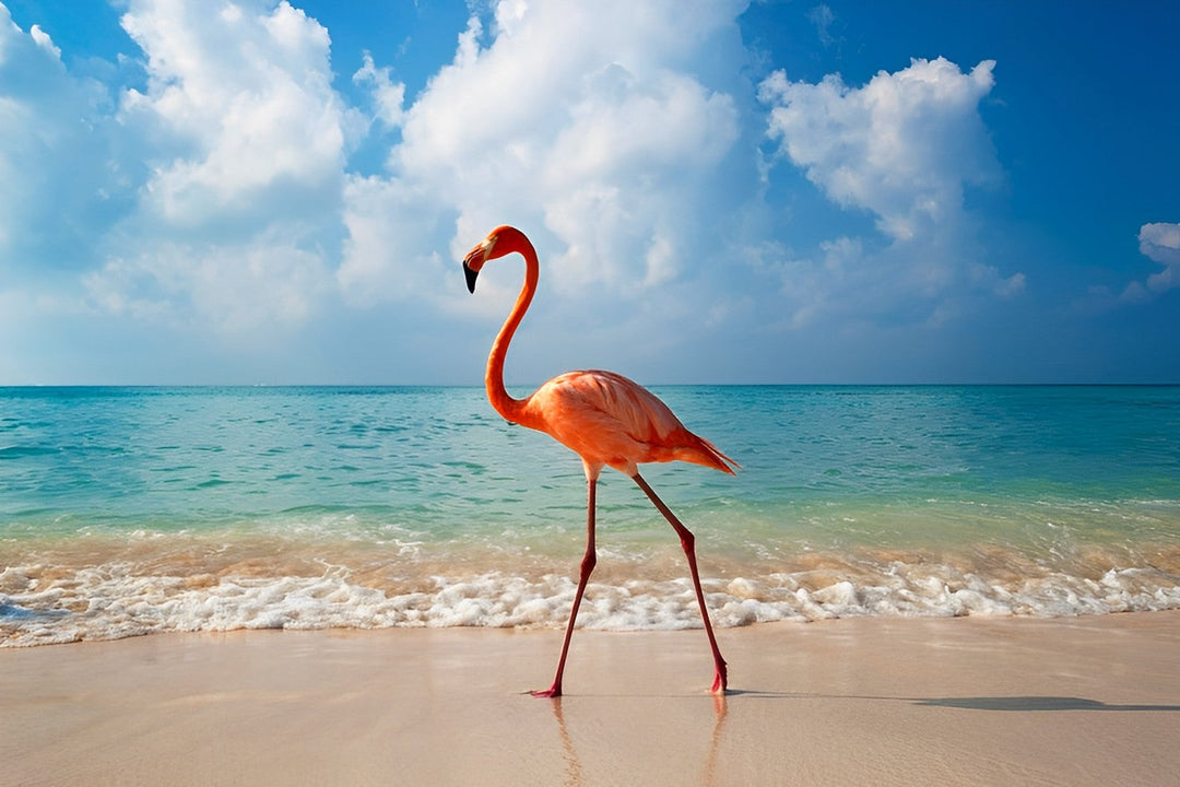 Flamingo Wandelend op Glimmend Strand Diamond Painting