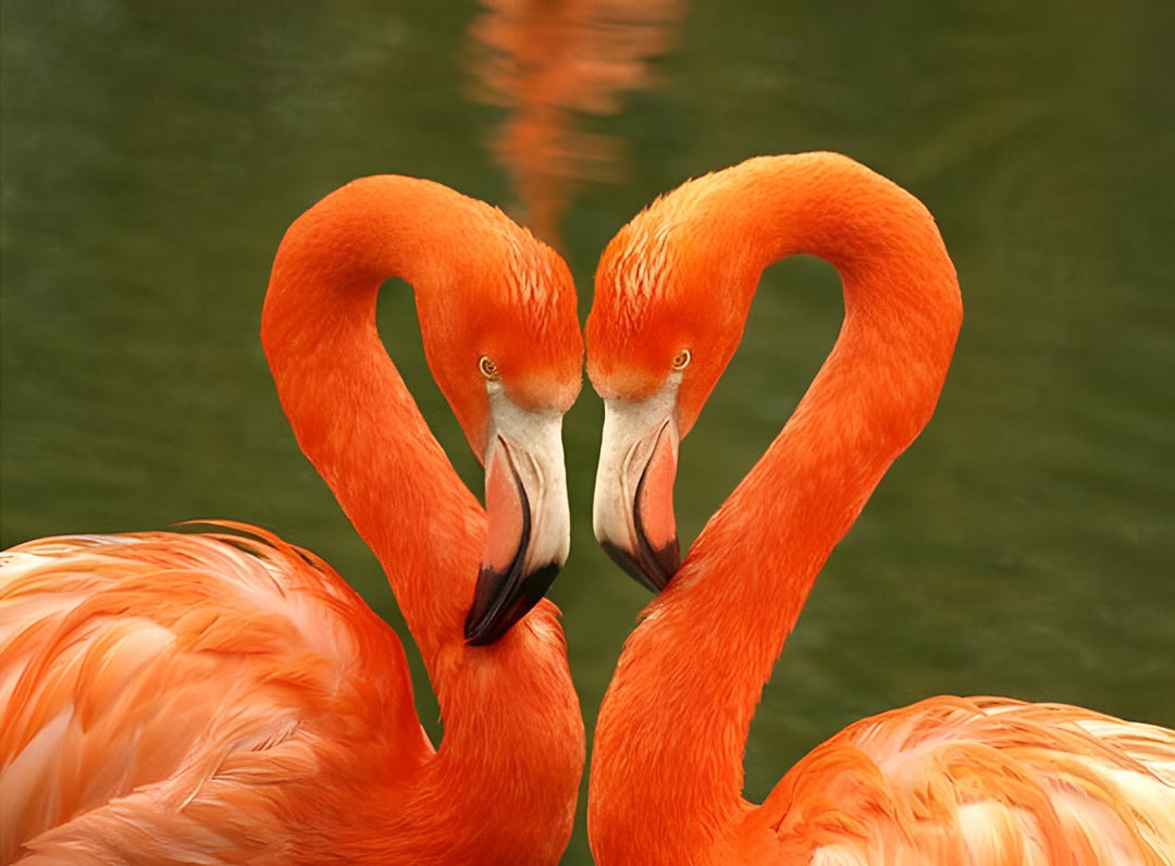 Flamingo's in Pastel bij de Oever Diamond Painting