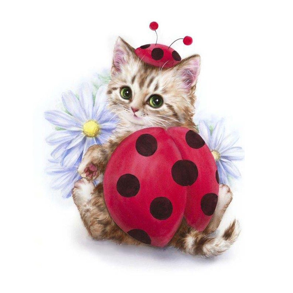 Fris Kitten met Lieveheersbeestjehoed Diamond Painting