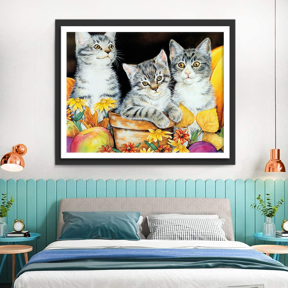 Fruit, Bloemen en Drie Katten Diamond Painting