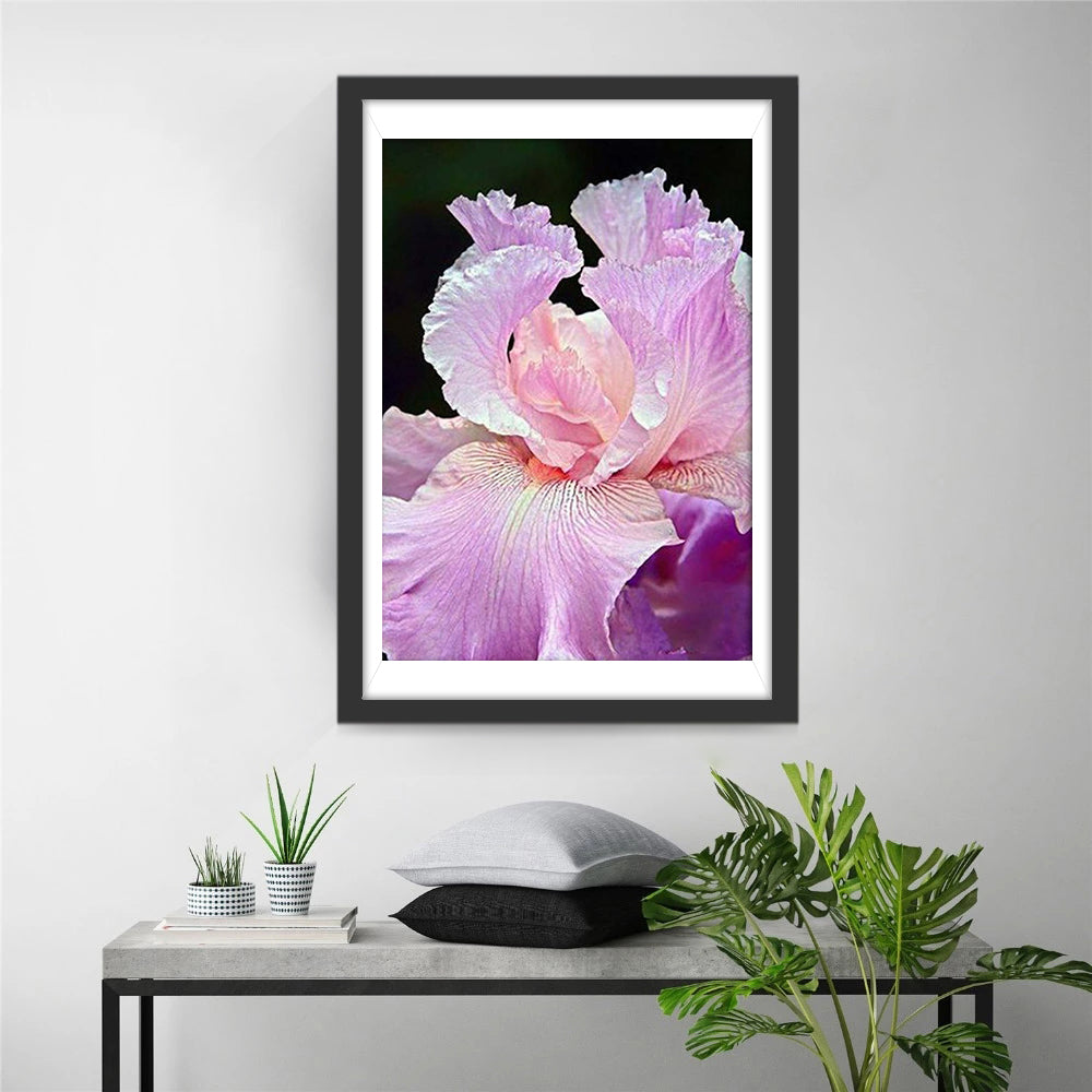 Geheimzinning Irispracht Diamond Painting