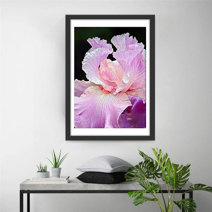 Geheimzinning Irispracht Diamond Painting