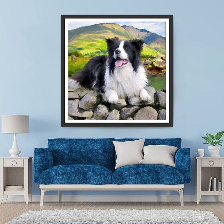 Gelukkige Border Collie op de Stenen Diamond Painting