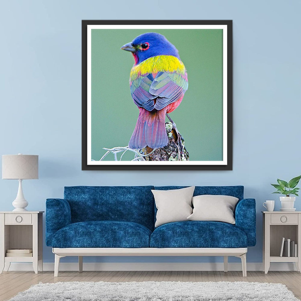 Geschilderde Bunting Diamond Painting