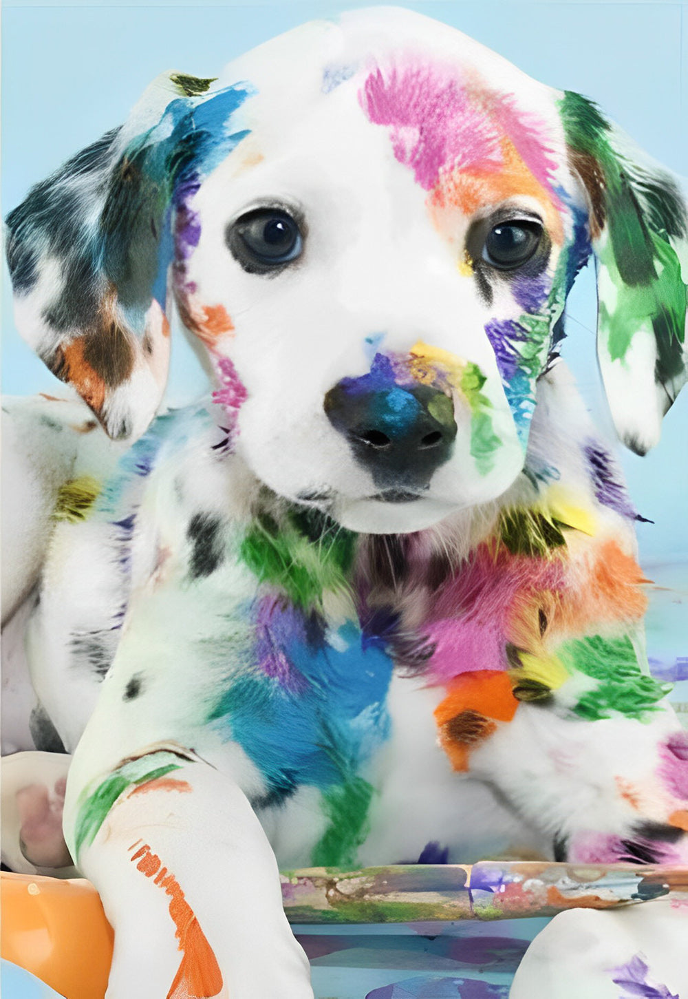 Gevlekte Hond met Kleurrijke Verf Diamond Painting