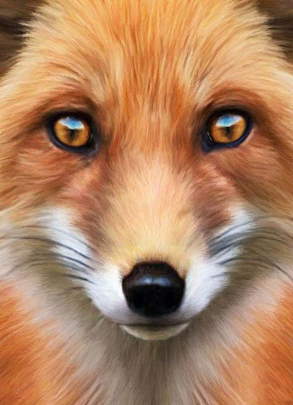 Gezicht Vos Close-up Diamond Painting