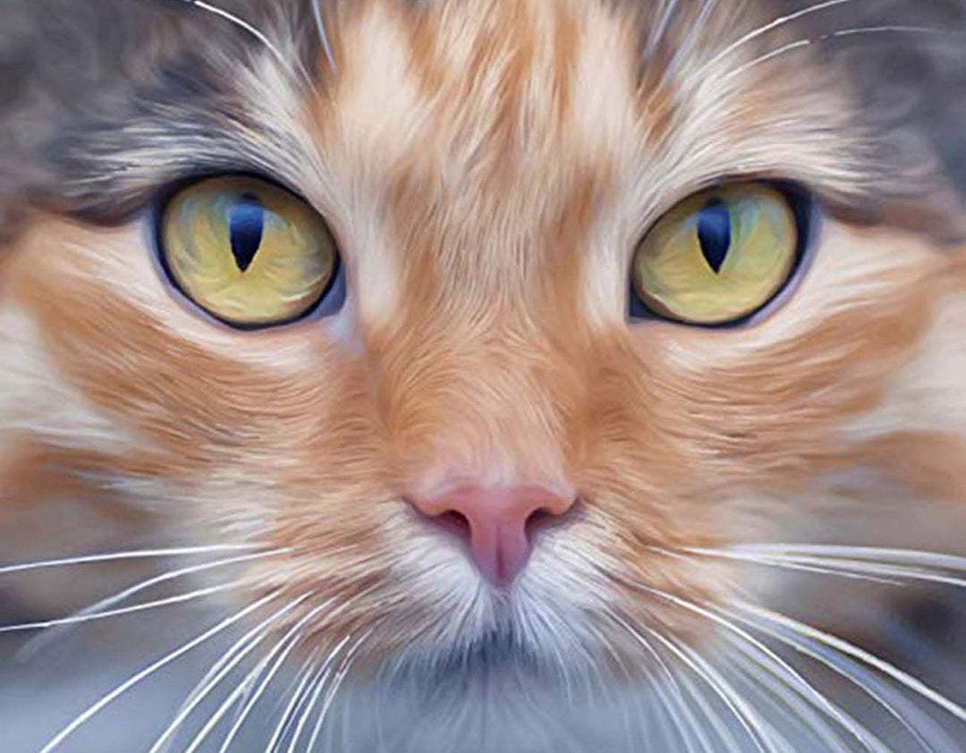 Gouden Kattenogen Diamond Painting