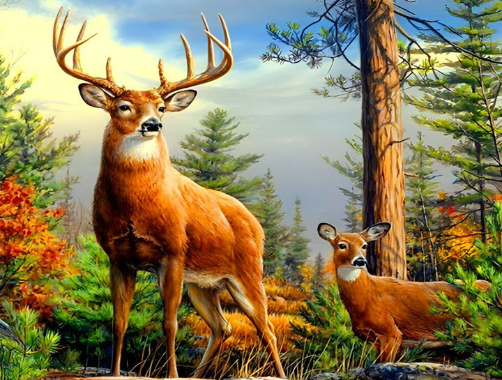 Herten in het Bos Diamond Painting