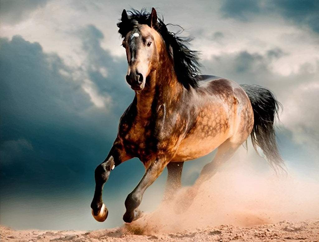 Het Paard dat het Stof deed Opwaaien Diamond Painting