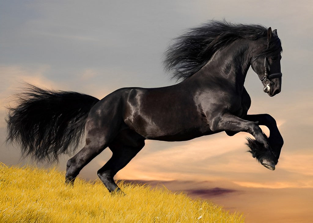 Het Rennende Zwarte Paard Diamond Painting