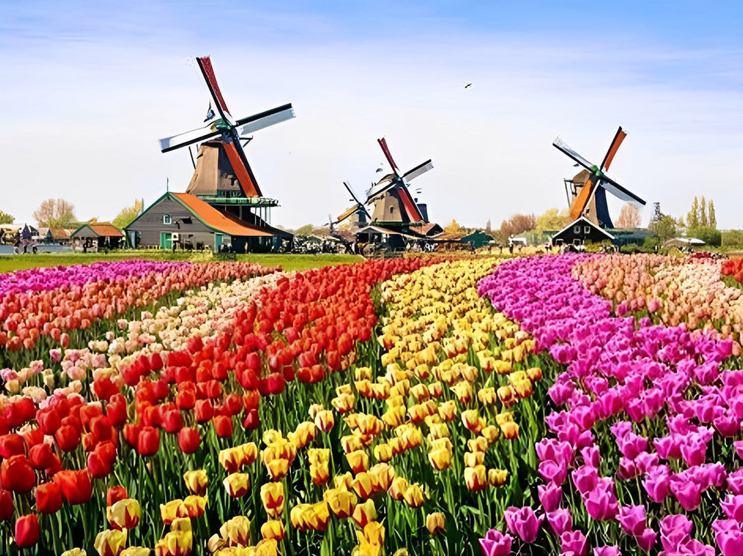 Hollandse Molens tussen Bloemenvelden Diamond Painting