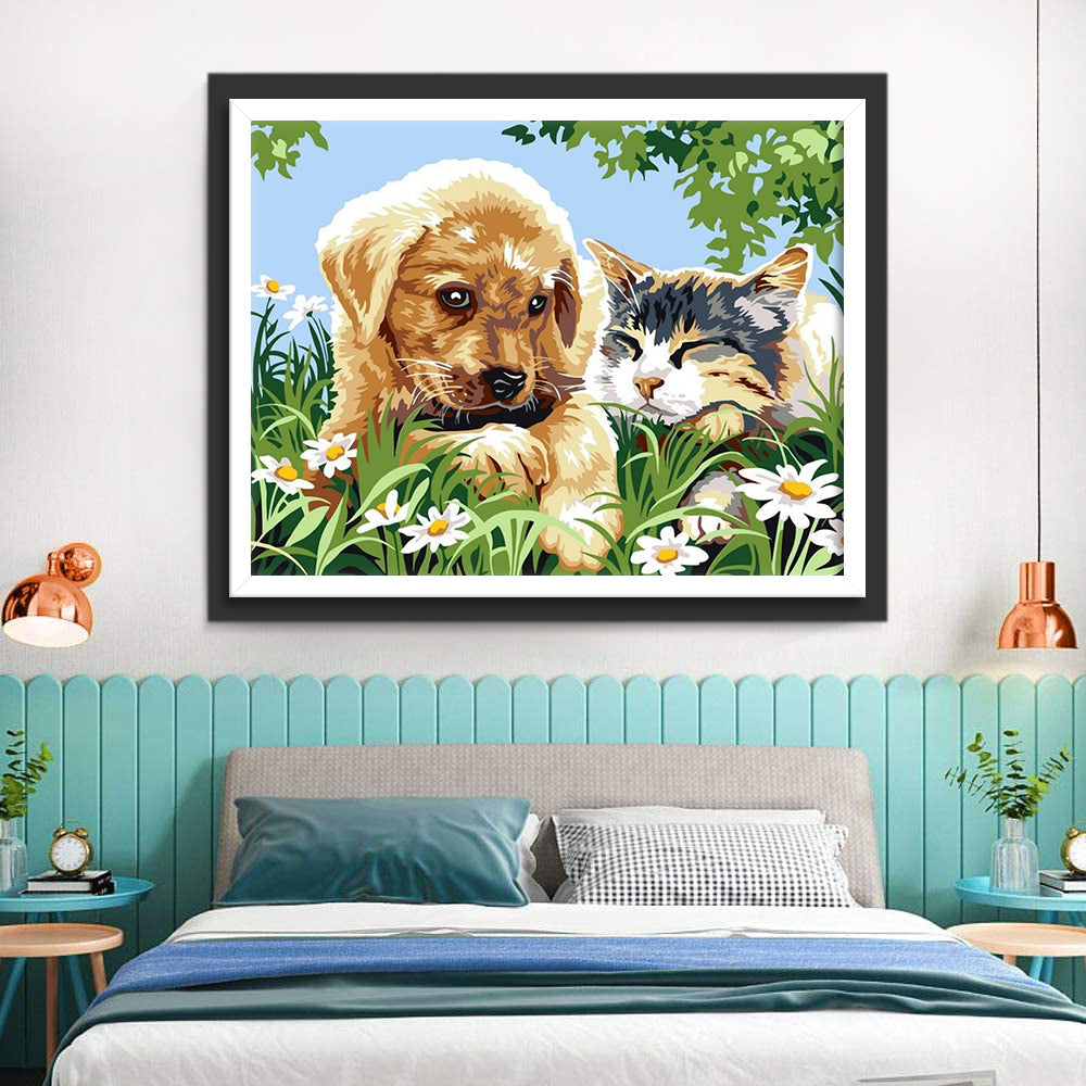 Hond en Kat in een Veld met Madeliefjes Diamond Painting