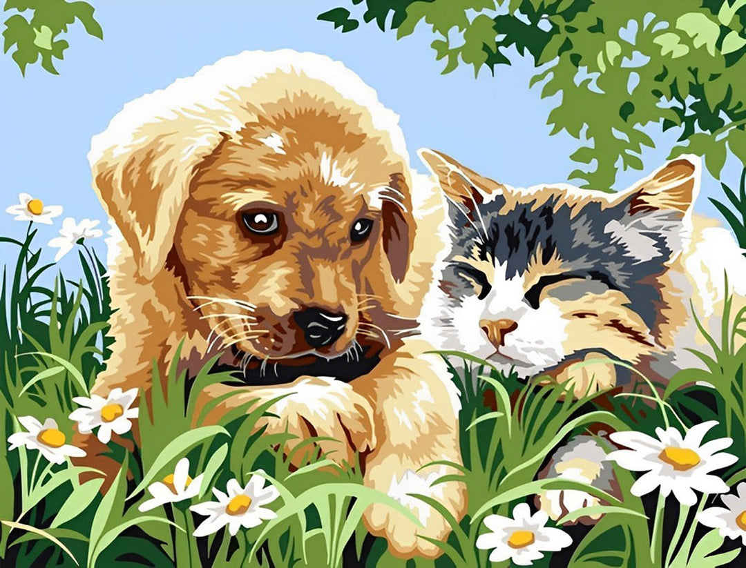 Hond en Kat in een Veld met Madeliefjes Diamond Painting