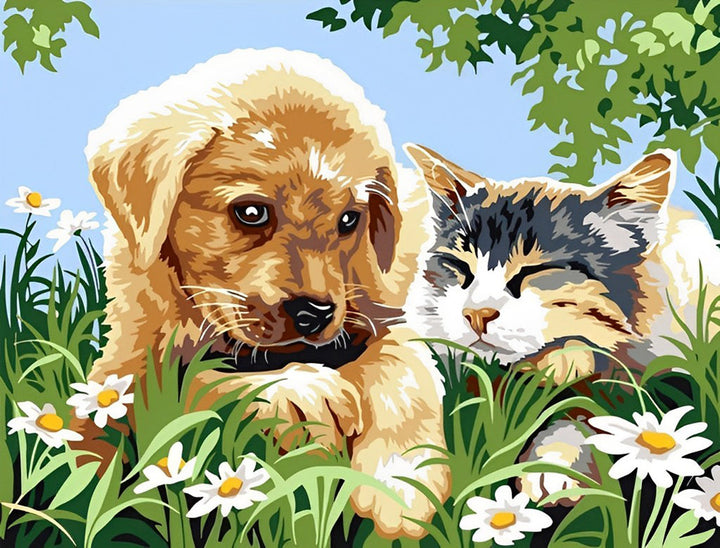 Hond en Kat in een Veld met Madeliefjes Diamond Painting
