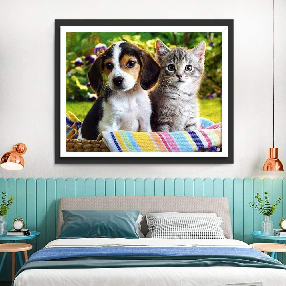 Hond en Kat in Picknickmand Diamond Painting
