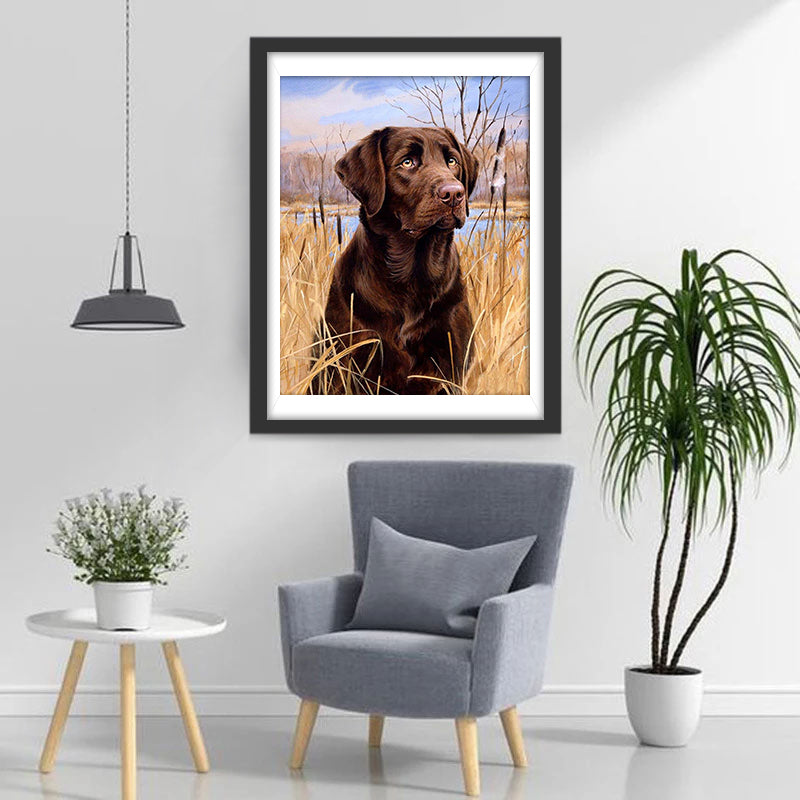 Hond in Droog Gras Diamond Painting