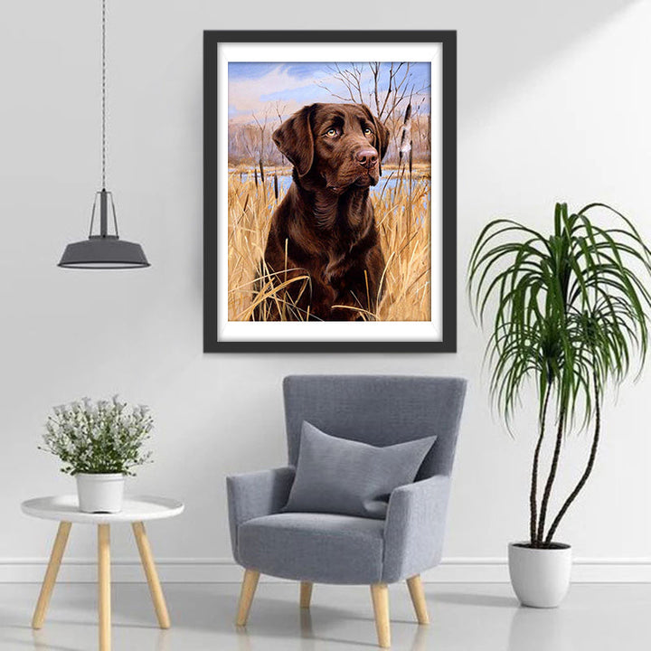Hond in Droog Gras Diamond Painting