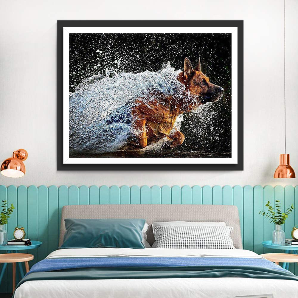 Hond Rent in het Water Diamond Painting