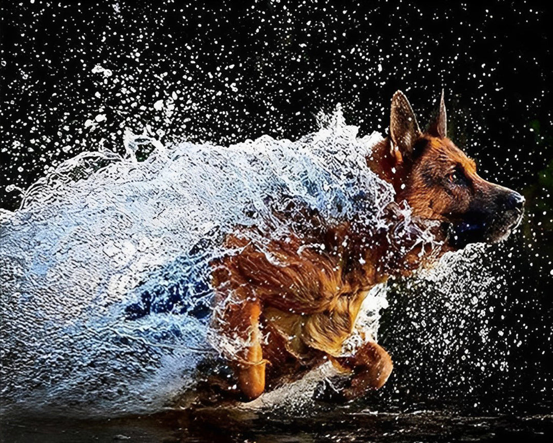Hond Rent in het Water Diamond Painting