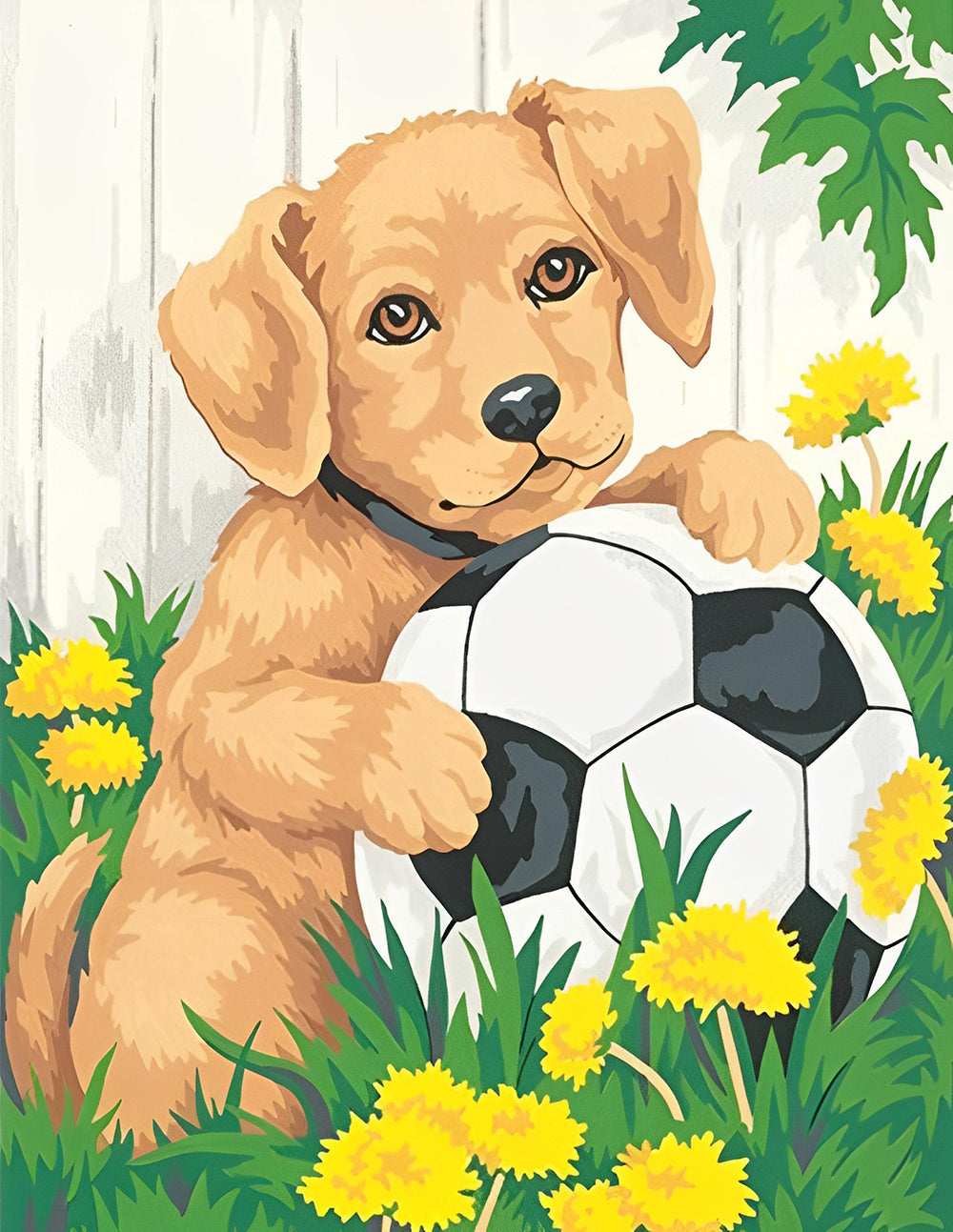 Hond Speelt Voetbal op het Gazon Diamond Painting