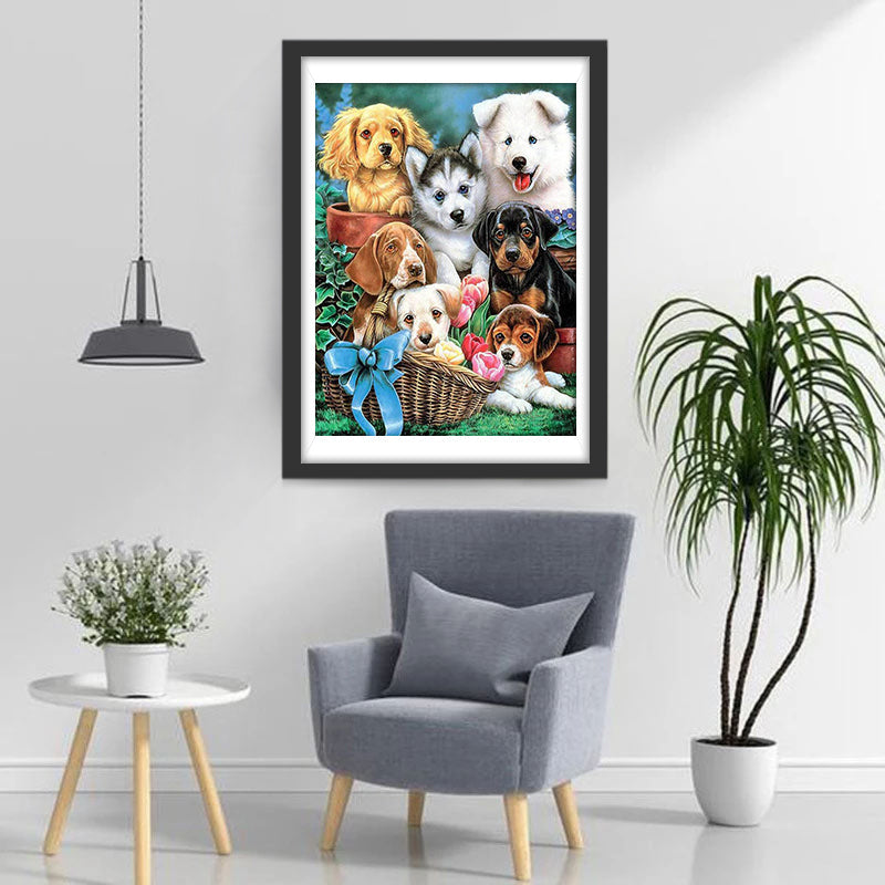 Honden in Manden en Potten Diamond Painting