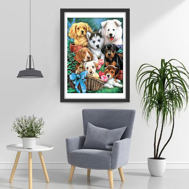 Honden in Manden en Potten Diamond Painting