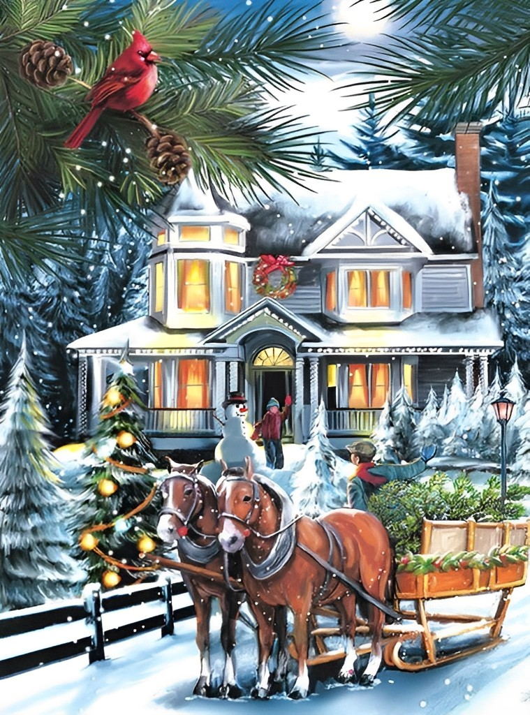 Idyllisch Wintergezicht Diamond Painting