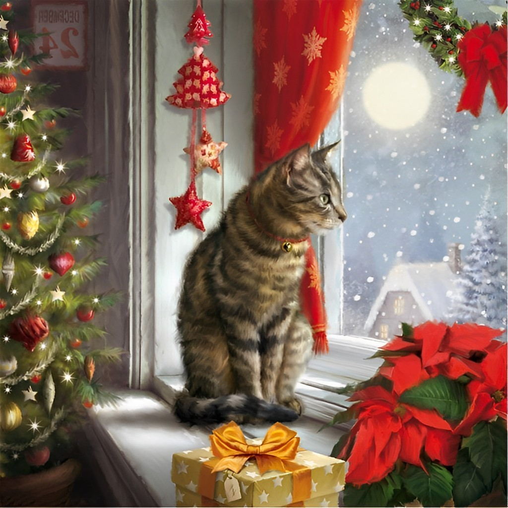 Kat bij Venster Diamond Painting