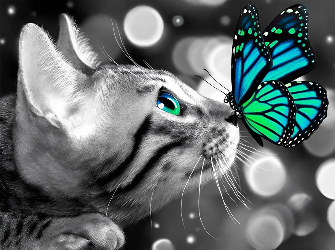 Kat en Blauwgroene Vlinder Diamond Painting